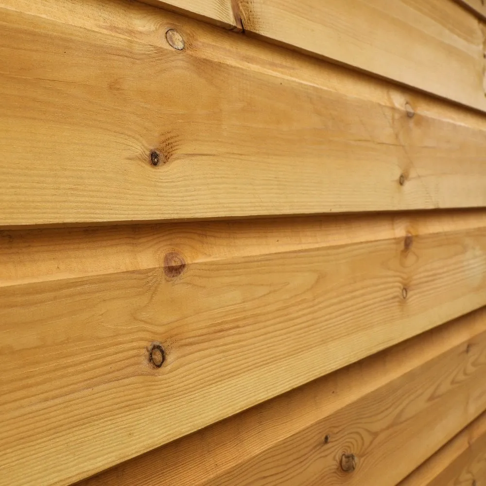 4 x 6 Shiplap Apex - Front Windows Shed